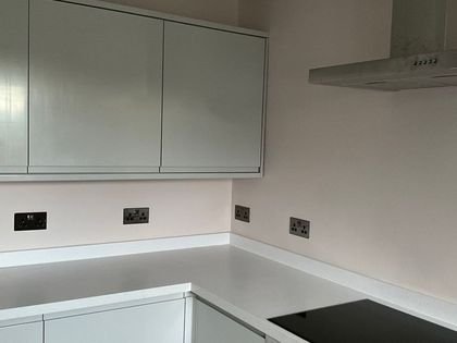 A kitchen with sage green wall units and freshly painted walls