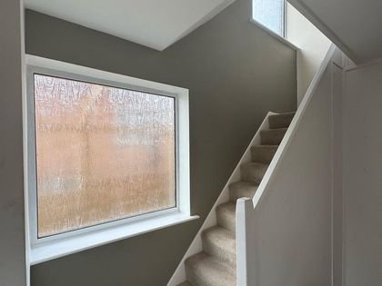 A stairway wall painted in deep olive beside a white window reveal