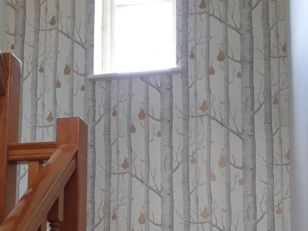 Birch-tree patterned wallpaper hung up a tall stairwell wall