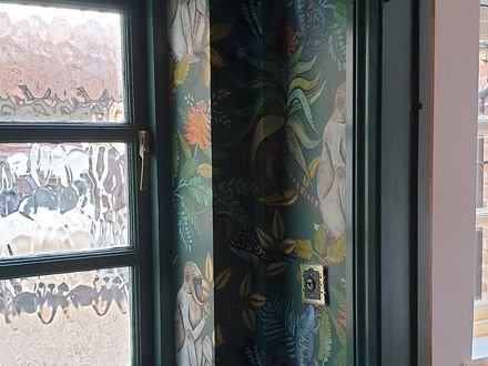 A cloakroom in bold botanical wallpaper above dark green panelling